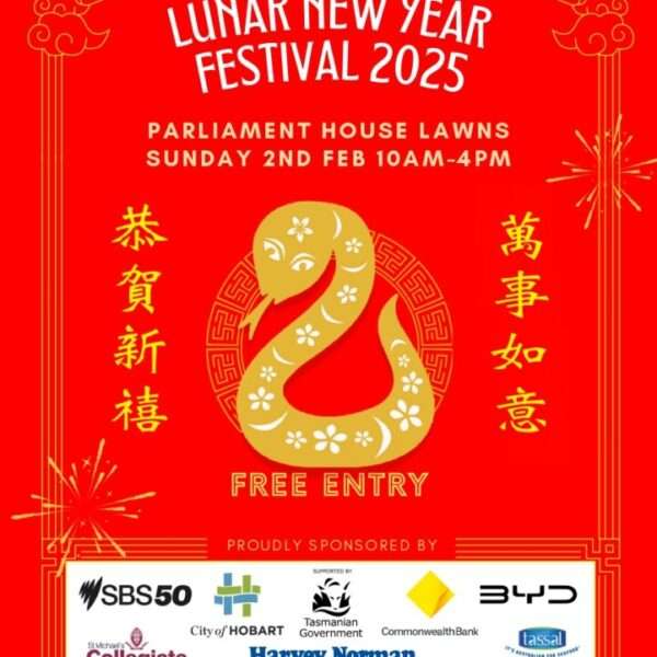 CCAT 2025 Lunar New Year Festival Poster