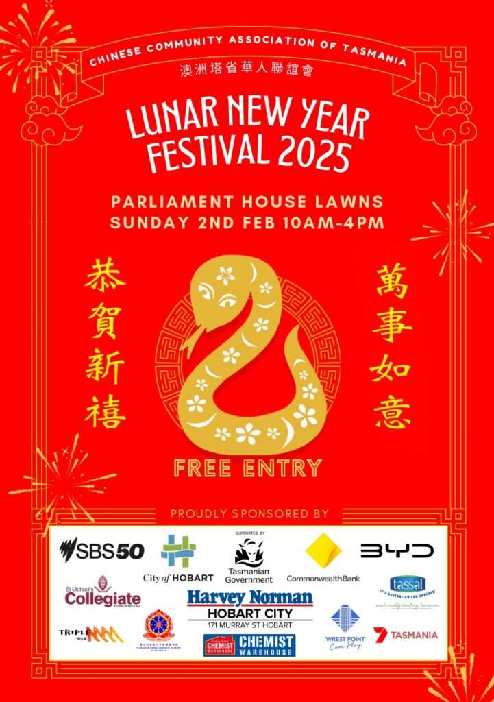 CCAT 2025 Lunar New Year Festival Poster