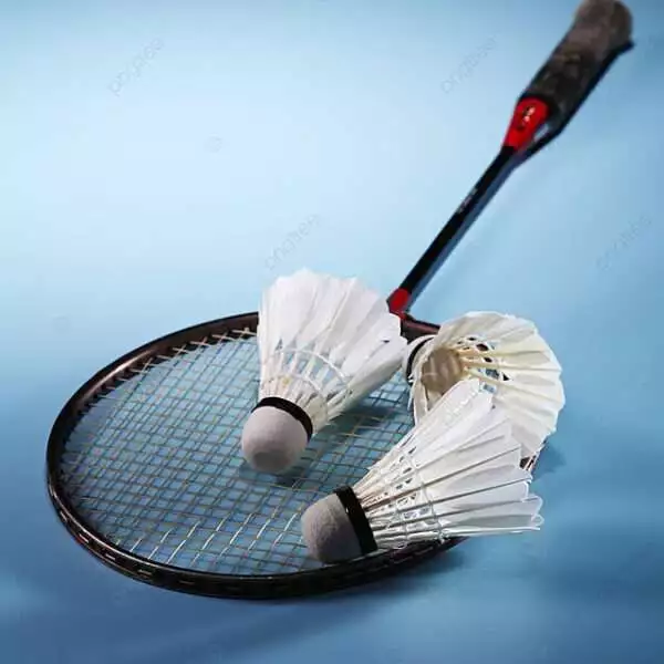 1st June Badminton Day for…